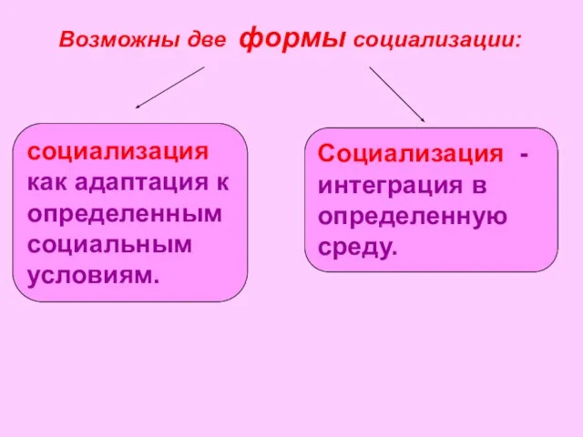 социализация как адаптация к определенным социальным условиям. Социализация - интеграция в определенную