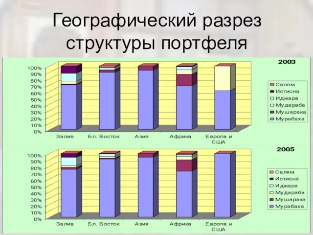 Географический разрез структуры портфеля