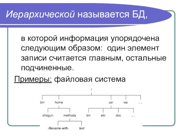 Иерархической называется БД, в которой информация упорядочена следующим образом: один элемент записи