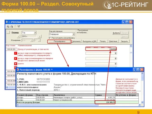 Форма 100.00 – Раздел. Совокупный годовой доход