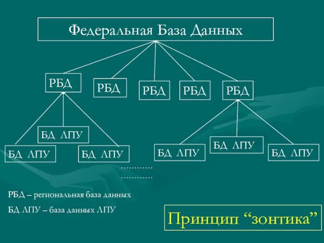 Федеральная База Данных РБД РБД РБД РБД РБД БД ЛПУ БД ЛПУ