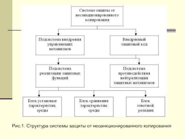 Рис.1. Структура системы защиты от несанкционированного копирования