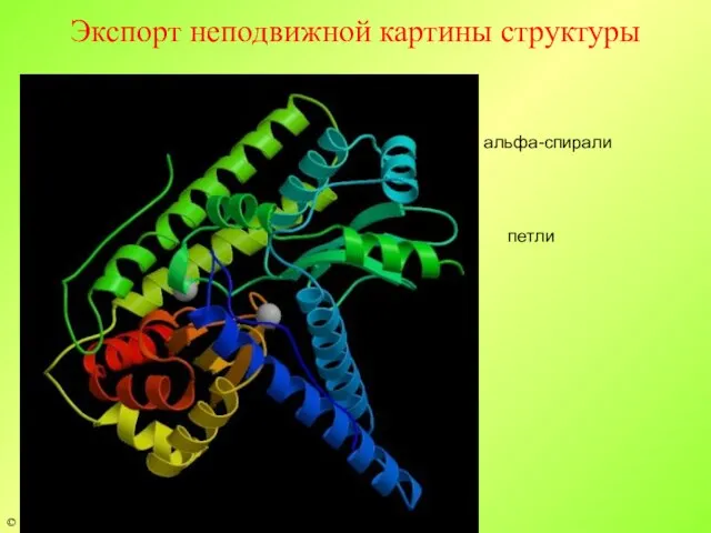 Экспорт неподвижной картины структуры альфа-спирали петли