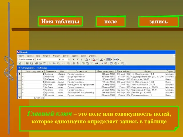 Имя таблицы поле запись Главный ключ – это поле или совокупность полей,