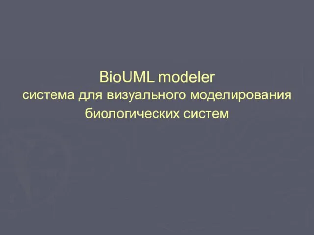 BioUML modeler система для визуального моделирования биологических систем