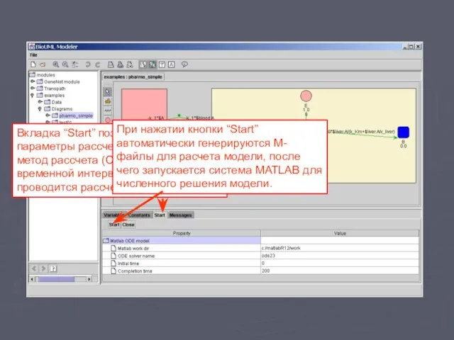 Вкладка “Start” позволяет настроить параметры рассчета модели: метод рассчета (ODE solver) и