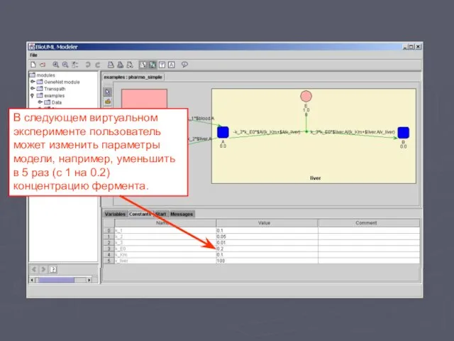 В следующем виртуальном эксперименте пользователь может изменить параметры модели, например, уменьшить в