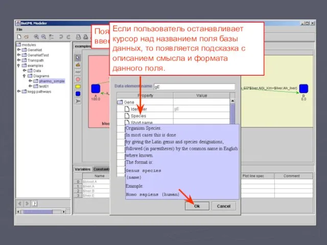 Появляется диалог, где мы должны ввести описание гена. Если пользователь останавливает курсор