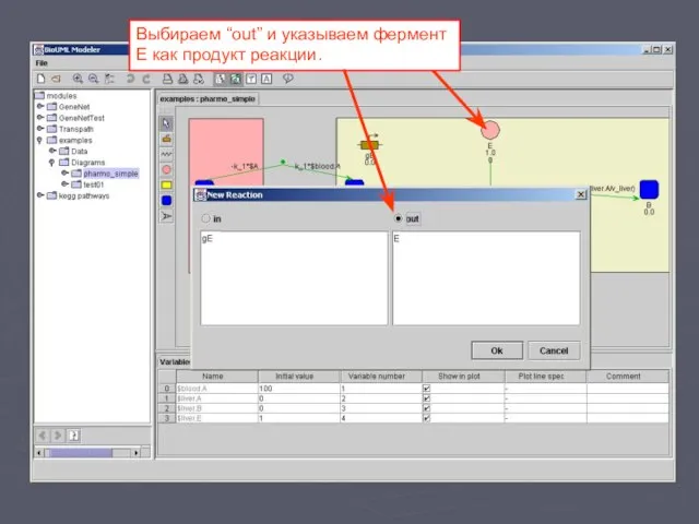 Выбираем “out” и указываем фермент E как продукт реакции.