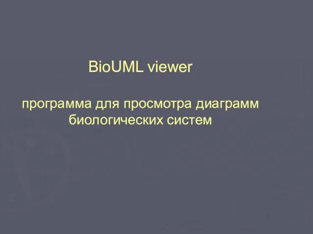 BioUML viewer программа для просмотра диаграмм биологических систем