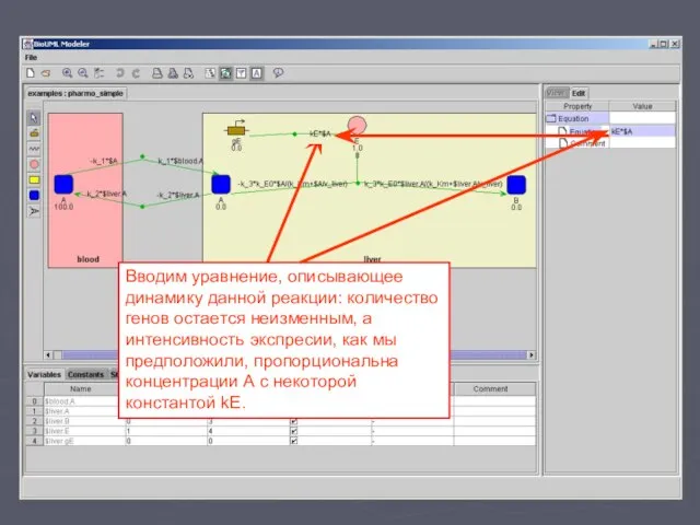 Вводим уравнение, описывающее динамику данной реакции: количество генов остается неизменным, а интенсивность