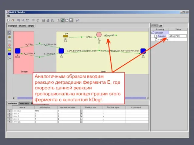 Аналогичным образом вводим реакцию деградации фермента E, где скорость данной реакции пропорциональна