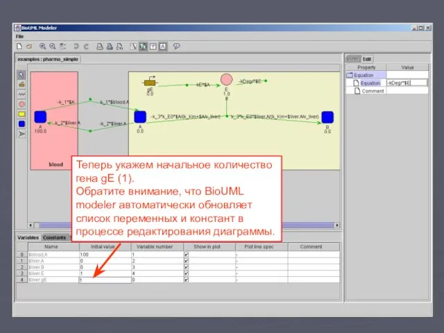 Теперь укажем начальное количество гена gE (1). Обратите внимание, что BioUML modeler