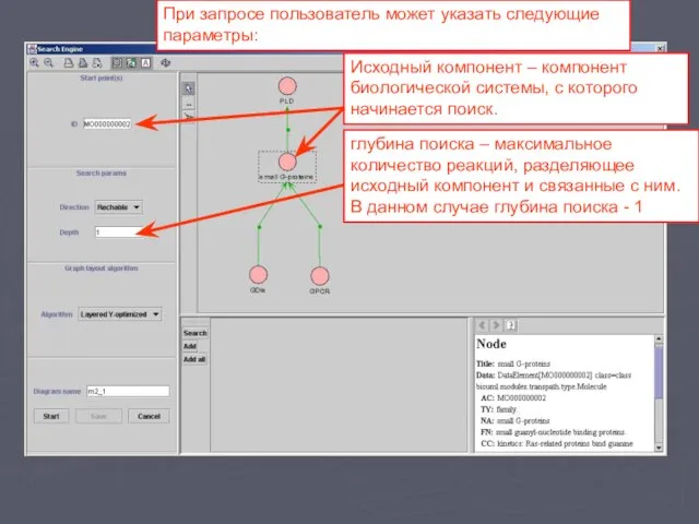 Исходный компонент – компонент биологической системы, с которого начинается поиск. При запросе