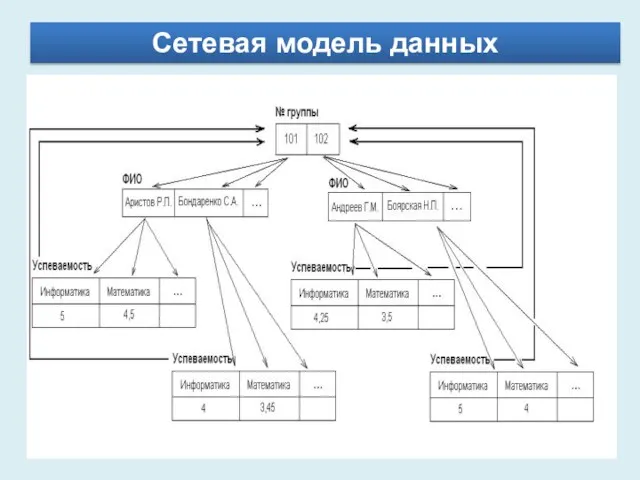 Сетевая модель данных