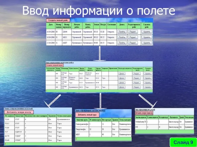 Ввод информации о полете Слайд 9