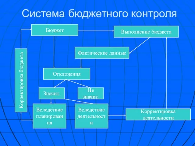 Система бюджетного контроля