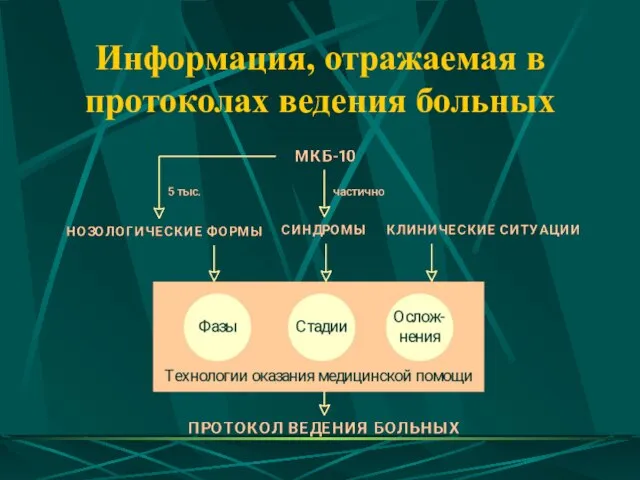 Информация, отражаемая в протоколах ведения больных