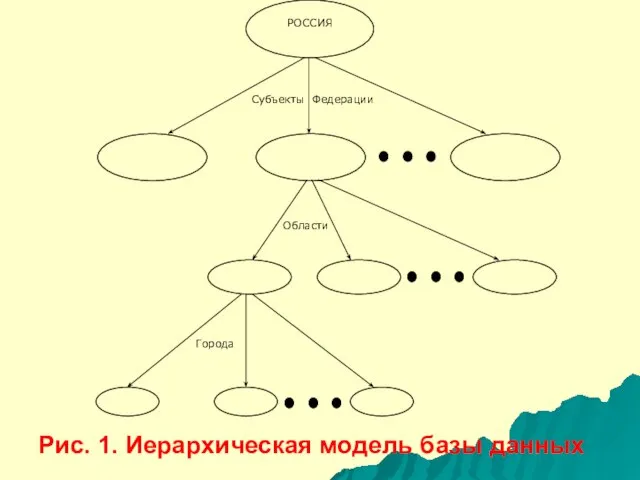 Рис. 1. Иерархическая модель базы данных