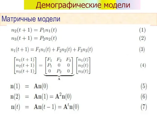 Демографические модели Матричные модели