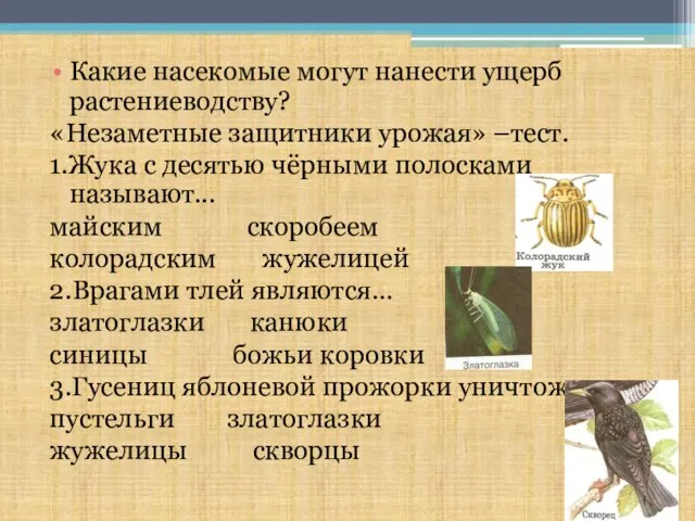 Какие насекомые могут нанести ущерб растениеводству? «Незаметные защитники урожая» –тест. 1.Жука с