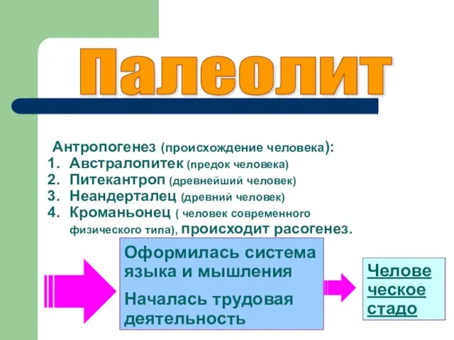 Палеолит Антропогенез (происхождение человека): Австралопитек (предок человека) Питекантроп (древнейший человек) Неандерталец (древний