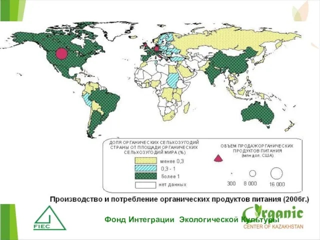 Фонд Интеграции Экологической Культуры