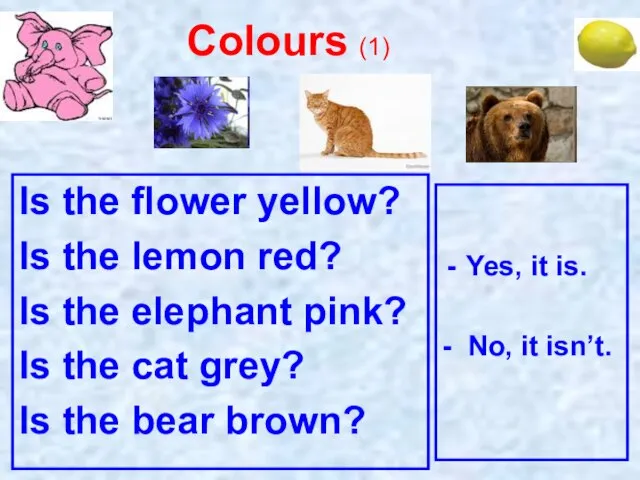 Is the flower yellow? Is the lemon red? Is the elephant pink?