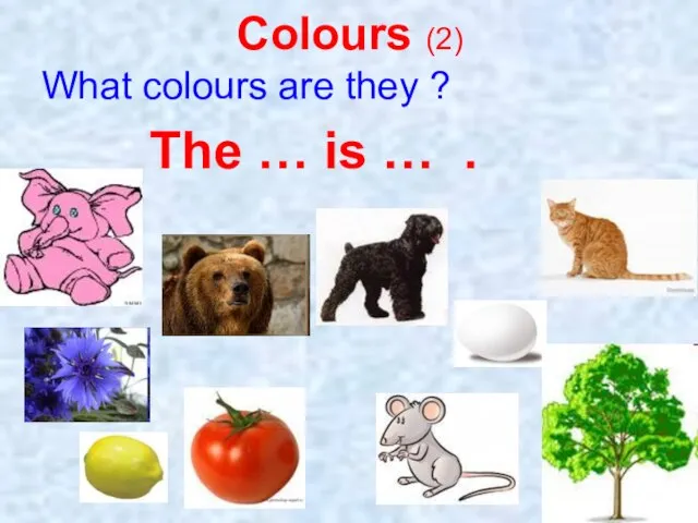 Colours (2) What colours are they ? The … is … .