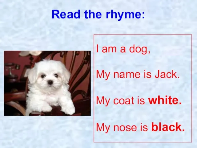 Read the rhyme: I am a dog, My name is Jack. My