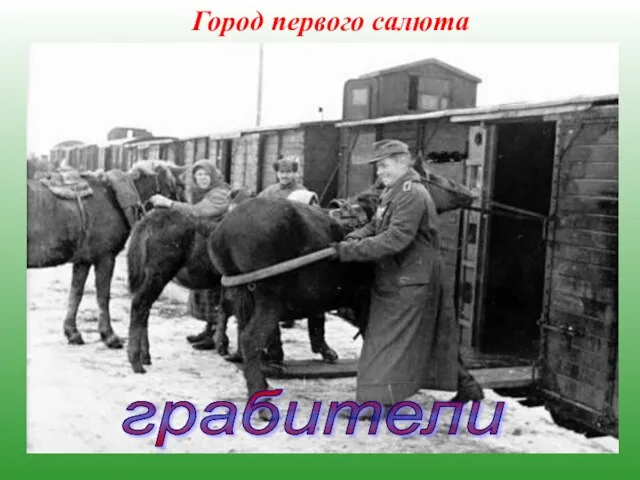 Город первого салюта 24 октября 1941 года немцы захватили Белгород. Начались страшные