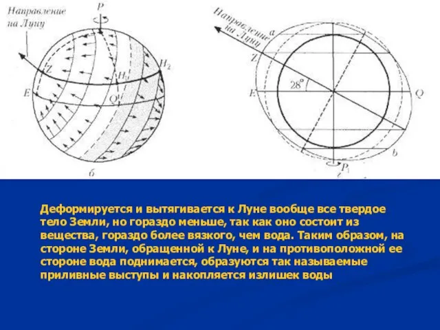 Деформируется и вытягивается к Луне вообще все твердое тело Земли, но гораздо