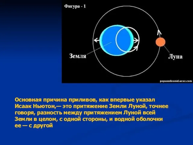 Основная причина приливов, как впервые указал Исаак Ньютон,— это притяжение Земли Луной,