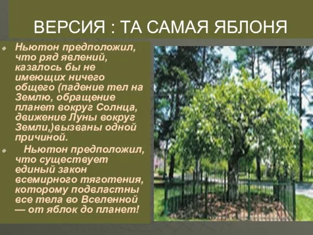 ВЕРСИЯ : ТА САМАЯ ЯБЛОНЯ Ньютон предположил, что ряд явлений, казалось бы