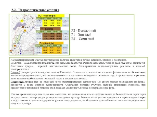 2.2. Гидрологические условия Р2 - Псевдо глей Р1 - Эпи глей В1