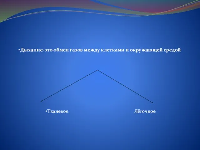 Дыхание-это обмен газов между клетками и окружающей средой Тканевое Лёгочное