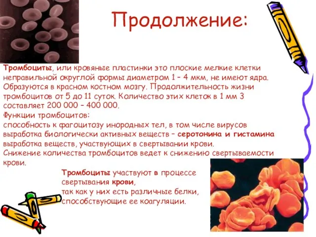 Продолжение: Тромбоциты участвуют в процессе свертывания крови, так как у них есть
