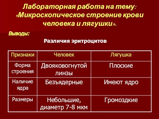 Лабораторная работа на тему: «Микроскопическое строение крови человека и лягушки». Выводы: Различия эритроцитов