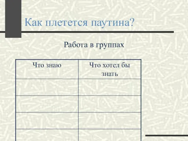 Как плетется паутина? Работа в группах