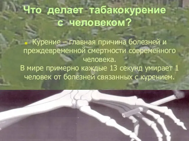 Что делает табакокурение с человеком? Курение – главная причина болезней и преждевременной