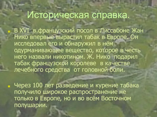 Историческая справка. В XVI в.французский посол в Лиссабоне Жан Нико впервые вырастил