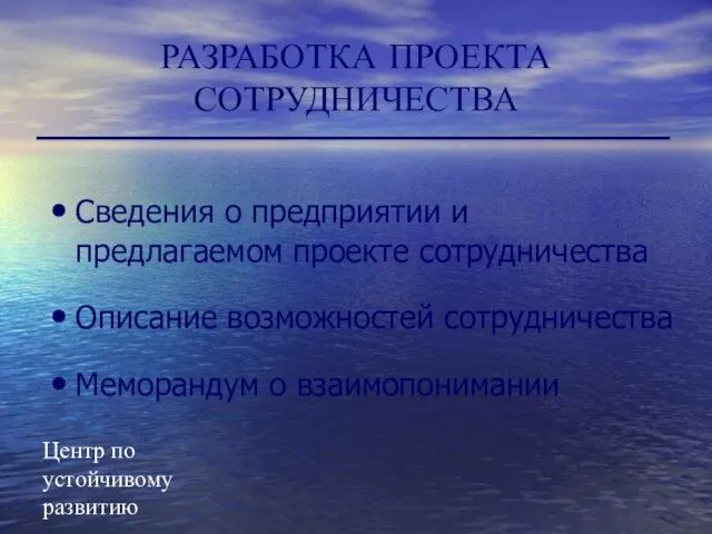 Центр по устойчивому развитию РАЗРАБОТКА ПРОЕКТА СОТРУДНИЧЕСТВА Сведения о предприятии и предлагаемом