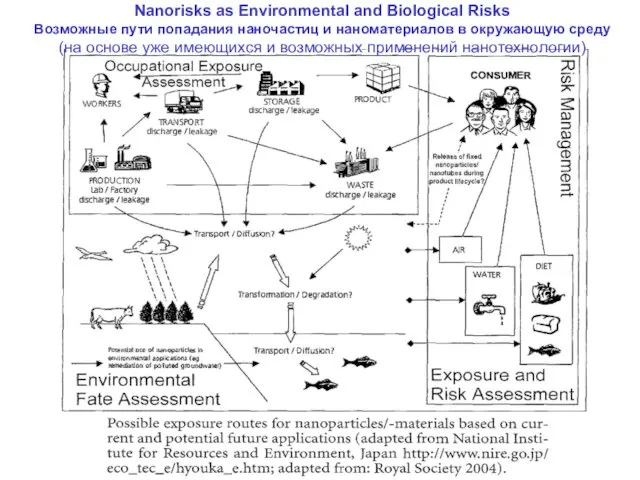 Nanorisks as Environmental and Biological Risks Возможные пути попадания наночастиц и наноматериалов