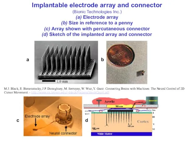 Implantable electrode array and connector (Bionic Technologies Inc.) (a) Electrode array (b)