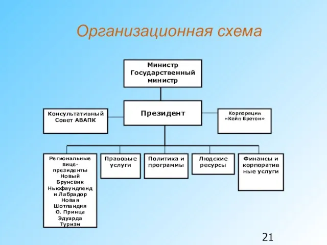 Организационная схема Президент Консультативный Совет АВАПК Корпорация «Кейп Бретон» Региональные вице-президенты Новый