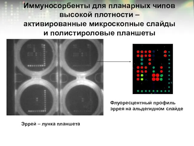 Эррей – лунка планшета Флуоресцентный профиль эррея на альдегидном слайде Иммуносорбенты для