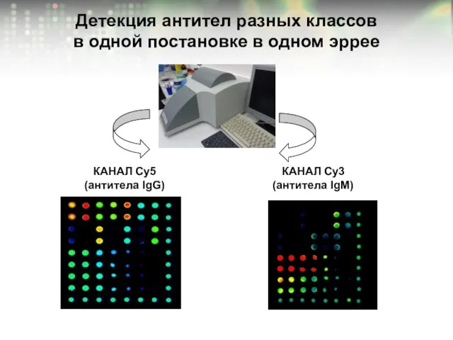 КАНАЛ Cy5 (антитела IgG) КАНАЛ Cy3 (антитела IgM) Детекция антител разных классов