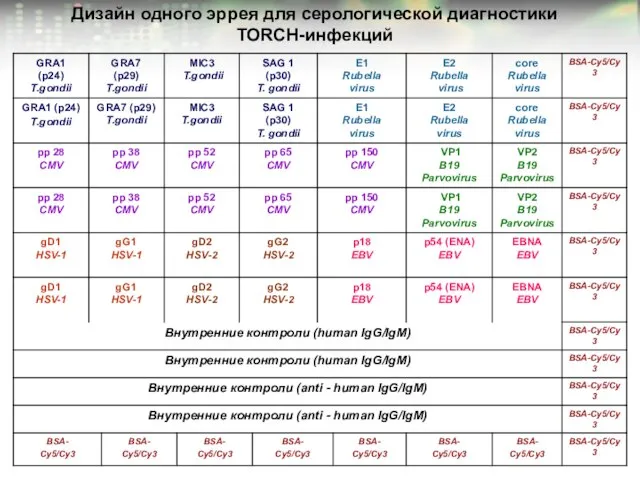 Дизайн одного эррея для серологической диагностики TORCH-инфекций