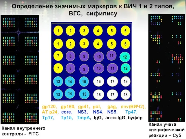 Определение значимых маркеров к ВИЧ 1 и 2 типов, ВГС, сифилису Канал