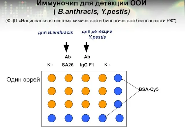 Иммуночип для детекции ООИ ( B.anthracis, Y.pestis) для B.anthracis для детекции Y.pestis